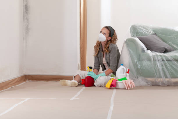Reliable Mold Remediation contractor in Willow Spring, NC by Cheap Mold Removal